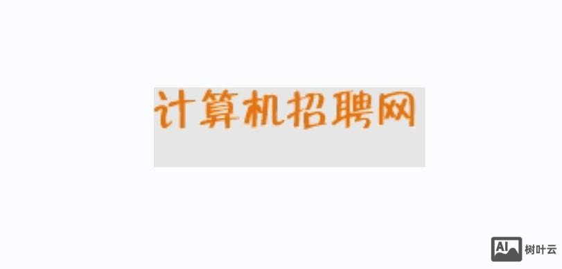 it招聘什么网