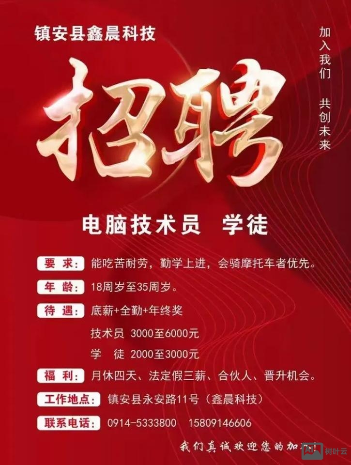 电脑怎么招聘信息