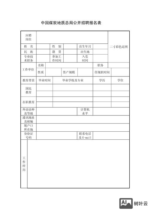 招聘表格怎么做