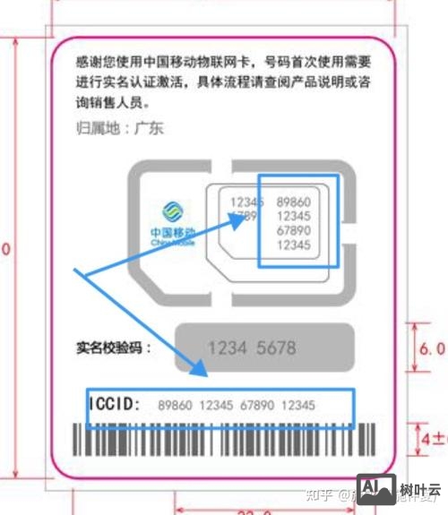 如何查询五张物联网卡