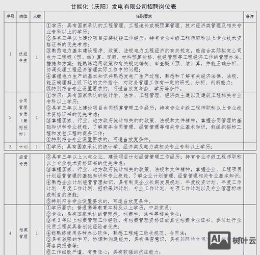 大公司招聘要求是什么