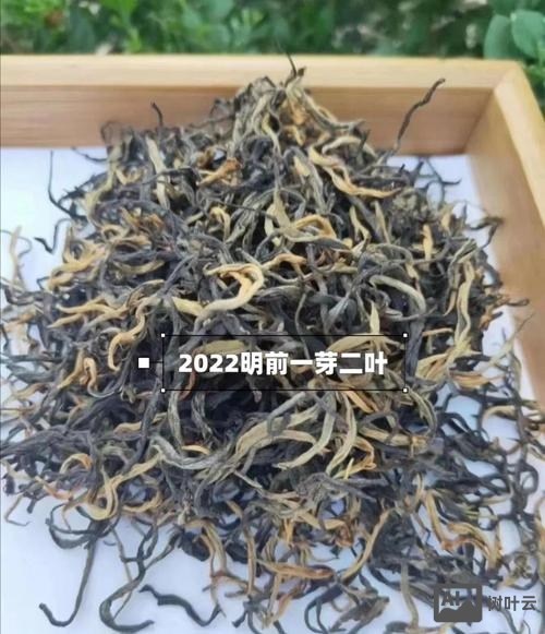 英红九号如何分别等级