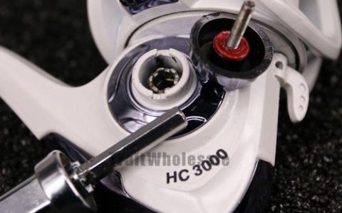 sea wheel招聘，Sea Wheel招聘，哪些岗位在招？