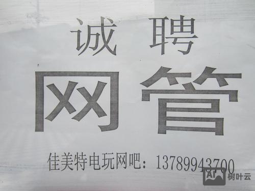 网吧招聘网管怎么写
