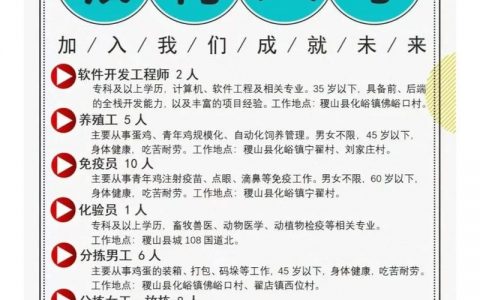 有道官方招聘，有道官方招聘，哪些岗位在招？