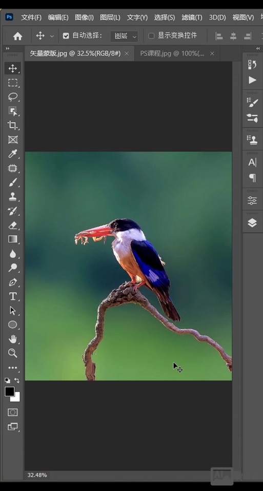 ps如何做矢量蒙版