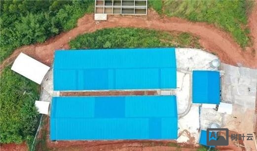 养猪场如何打开销路