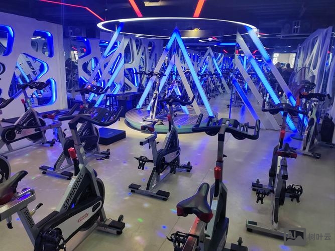 gym instructor招聘