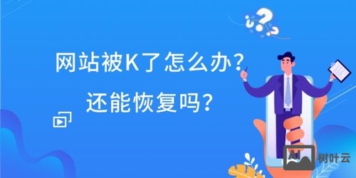 如何诊断网站为何被降权