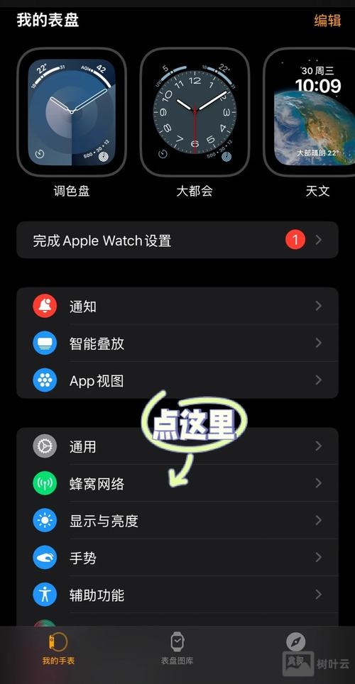 iphone如何设置app智联蜂窝