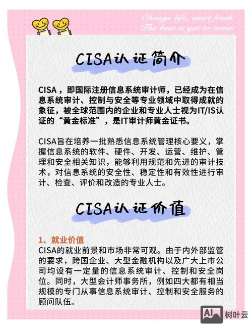 上海 招聘 cisa