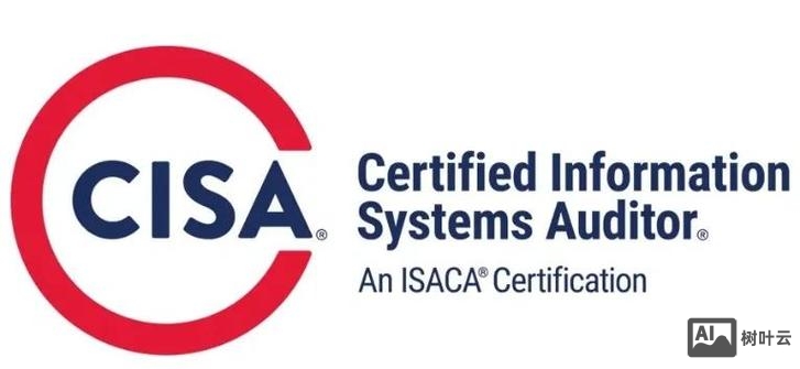 上海 招聘 cisa