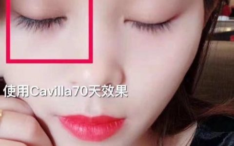 卡维拉如何做代理，卡维拉代理怎么做？门槛、政策、支持详解？