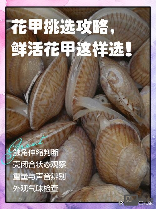 如何挑选花甲是死是活