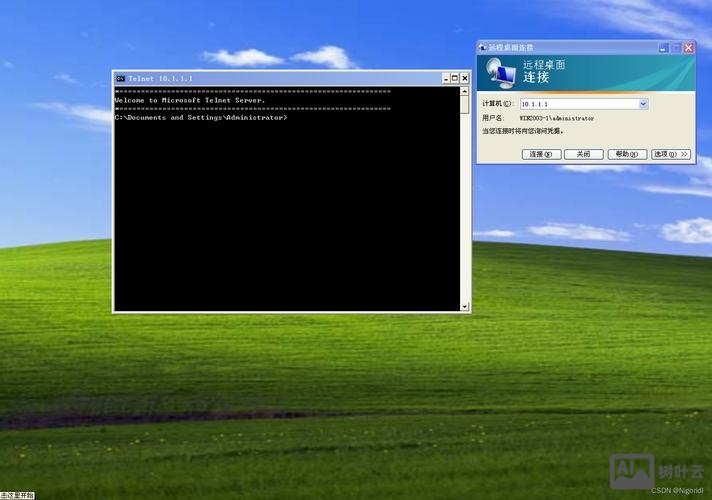 命令行启动远程服务器