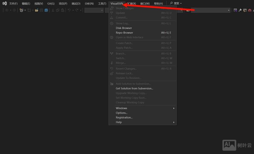 svn浏览器服务器命令
