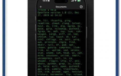 如何远程打开命令行工具？