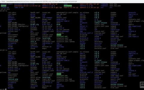 远程桌面命令行有哪些实用参数？