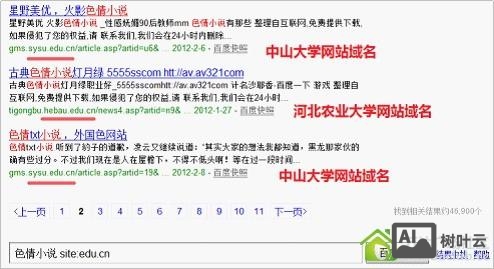 如何在网站添加黑链