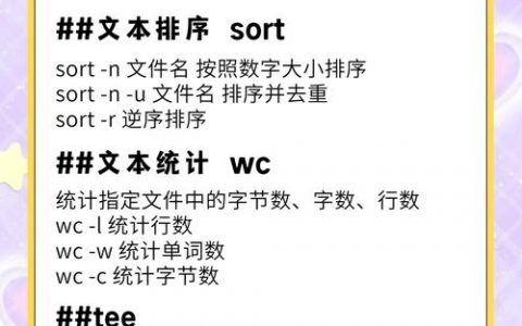 如何用命令行开发记事本？