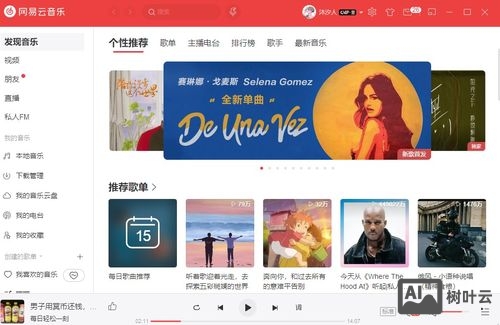 命令行版网易云音乐