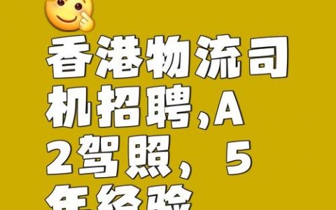 db cargo招聘，有哪些岗位要求？