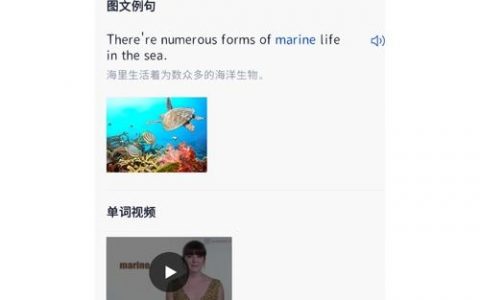 百词斩选美与发音逻辑是什么？