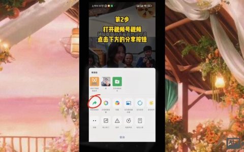 网站如何加入视频？