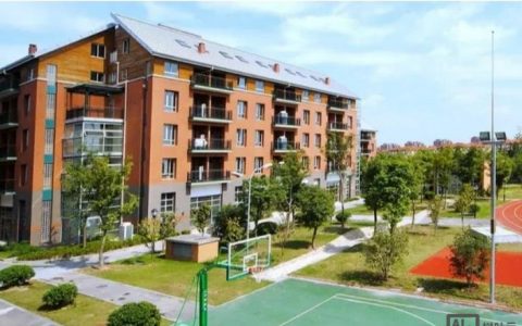 yk pao招聘，具体岗位和要求是什么？