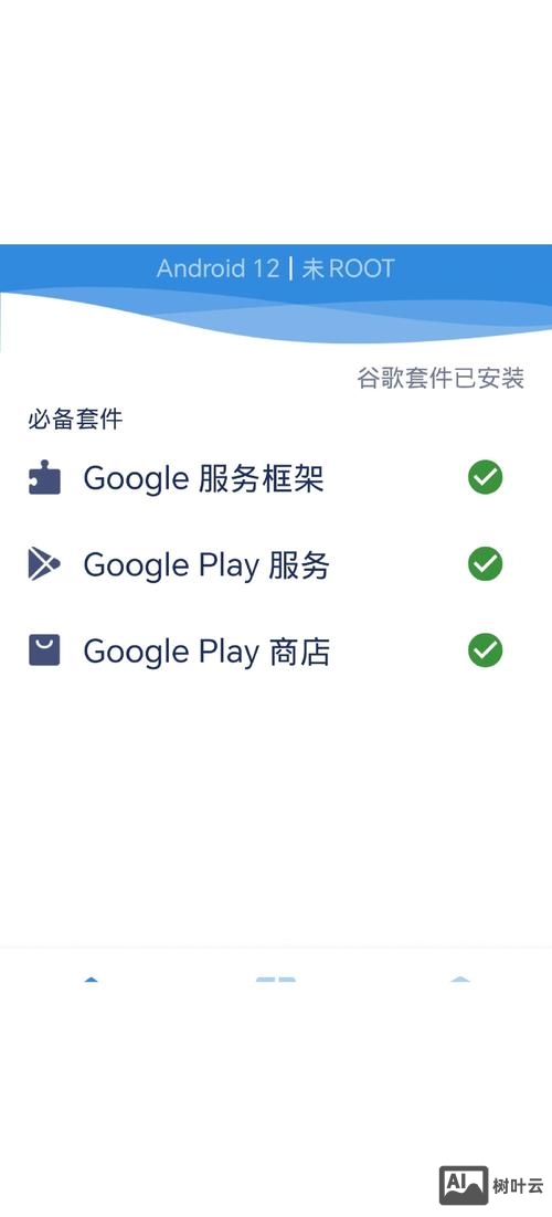 谷歌浏览器手机版命令