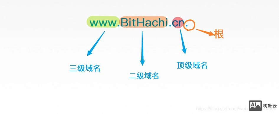 命令行查看域名解析