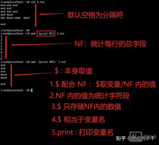 linux三剑客命令