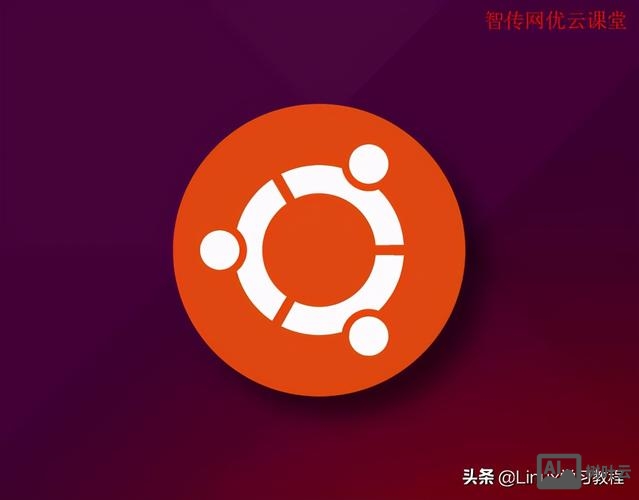 网优如何在石家庄发展