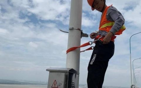 网优在石家庄如何发展？