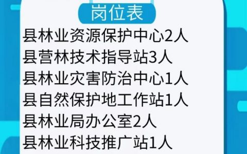 贵州ITS招聘，岗位要求与薪资如何？