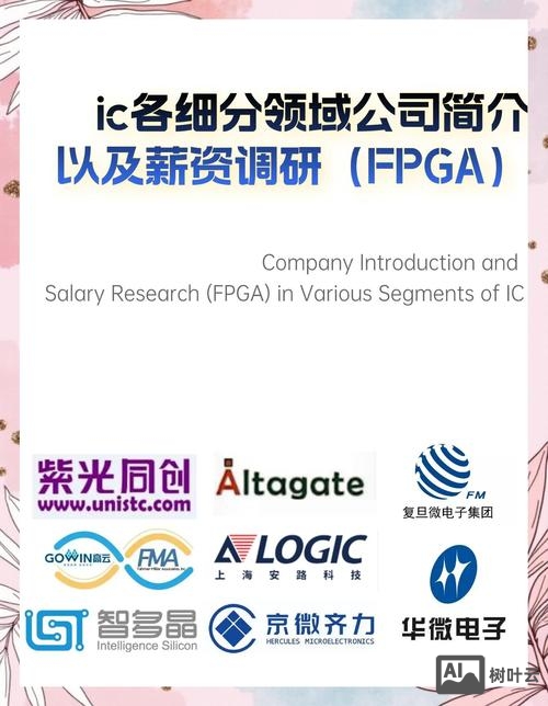 加速 fpga 招聘