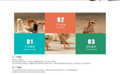 织梦商业版下载在哪里找？