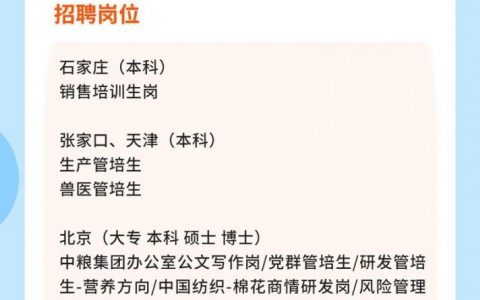 2004总部招聘，招什么岗位？