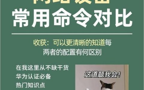 思科SAN交换机常用命令有哪些？