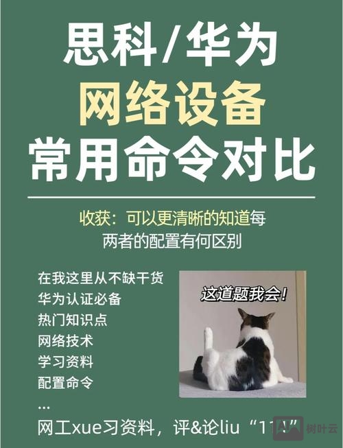 思科san交换机命令