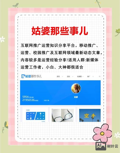 网站如何运营的比较好