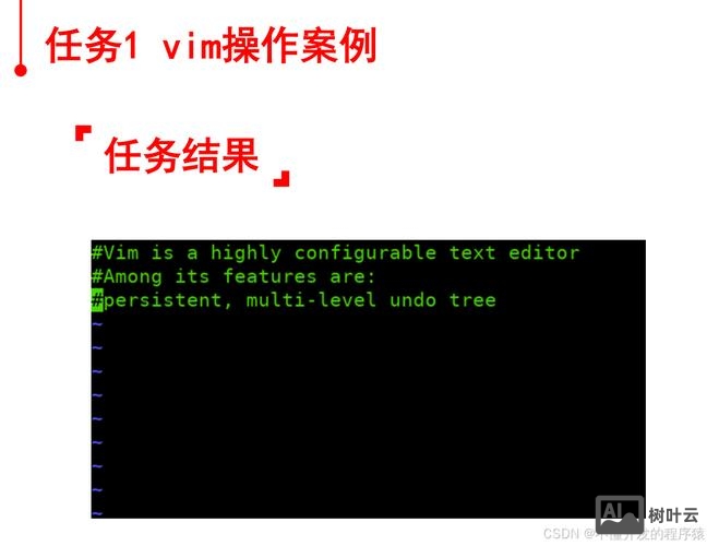 命令编辑器文本块