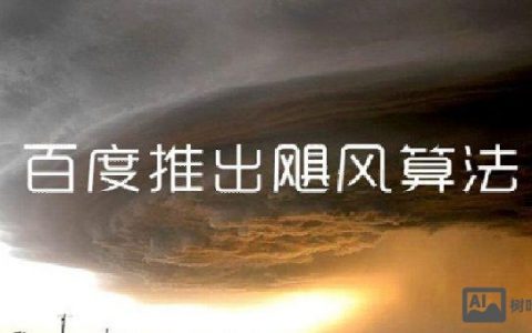 百度飓风算法如何应对？