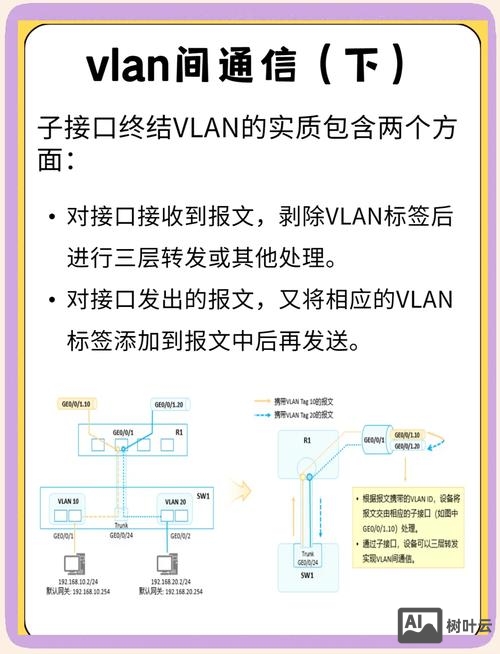 中兴交换机vlan命令