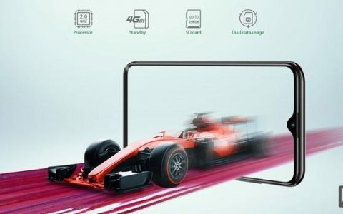 order processor招聘要求有哪些？