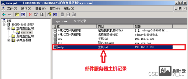 如何在服务器设置域名