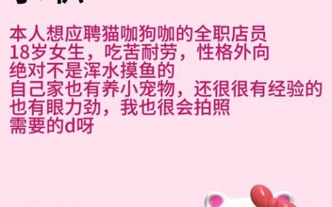 猫咪网站招啥样的人才？