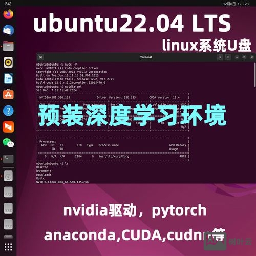 linux命令行u盘
