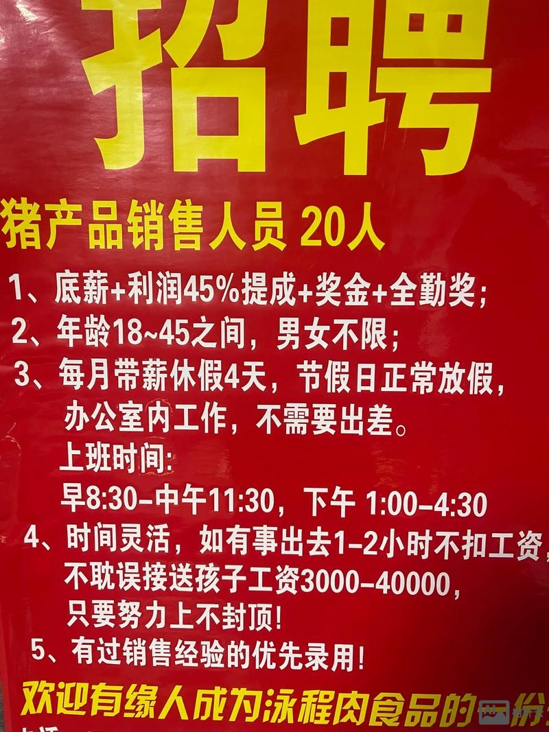 努比亚南京招聘