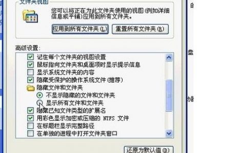 命令行文件夹如何高效管理文件？